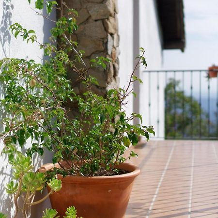 Casas Arbillas Arenas de San Pedro Zewnętrze zdjęcie