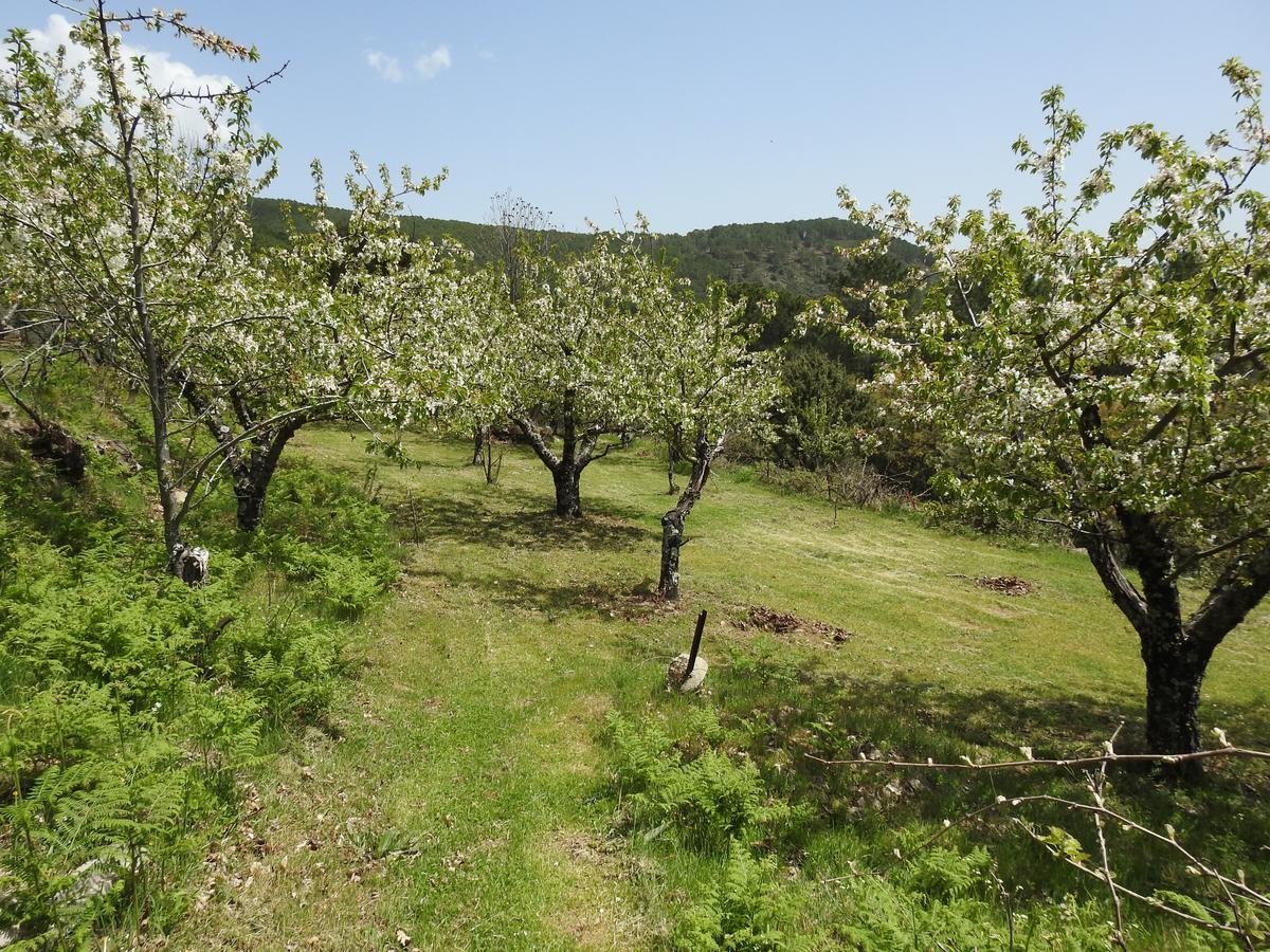 Casas Arbillas Arenas de San Pedro Zewnętrze zdjęcie