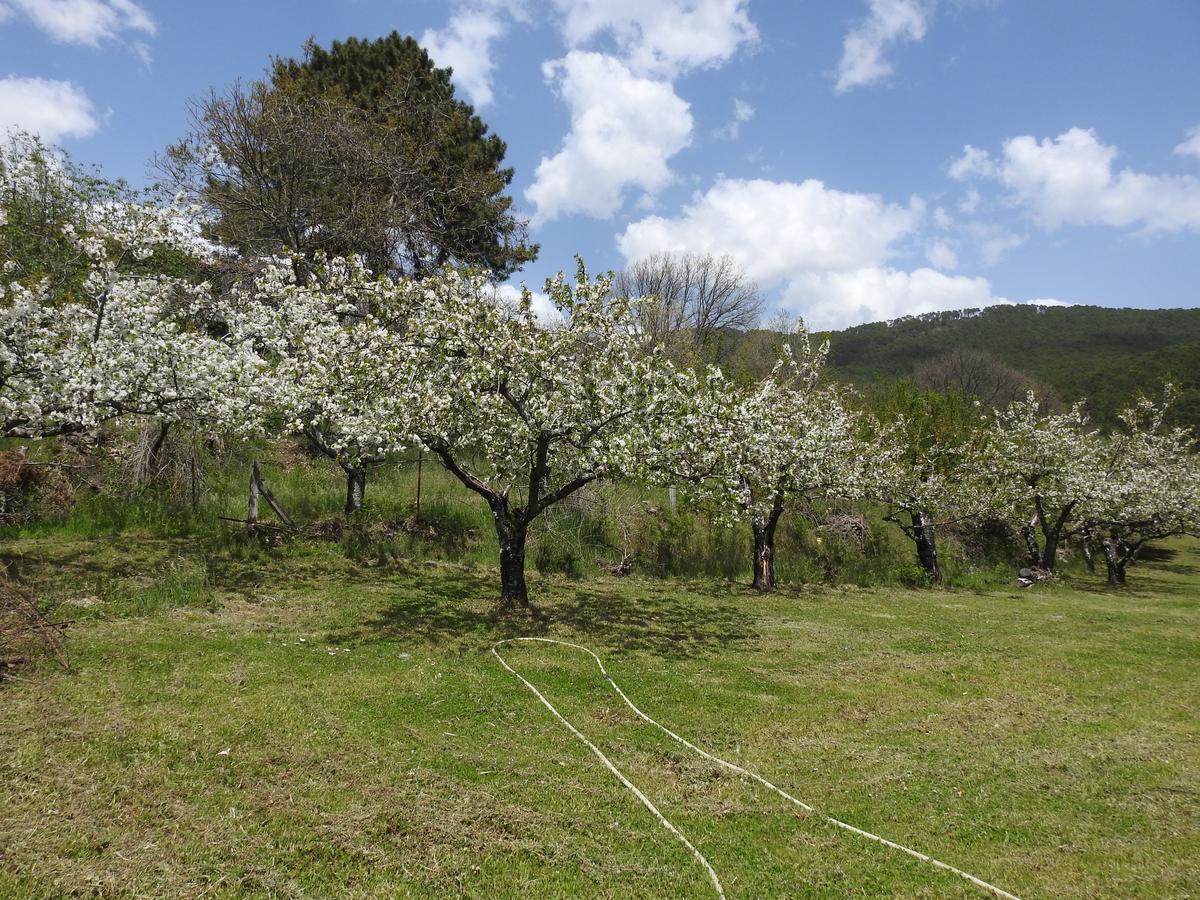 Casas Arbillas Arenas de San Pedro Zewnętrze zdjęcie