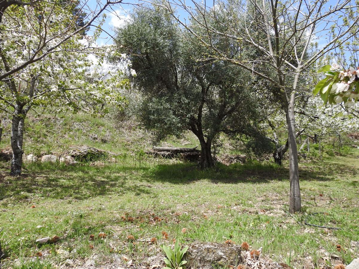 Casas Arbillas Arenas de San Pedro Zewnętrze zdjęcie