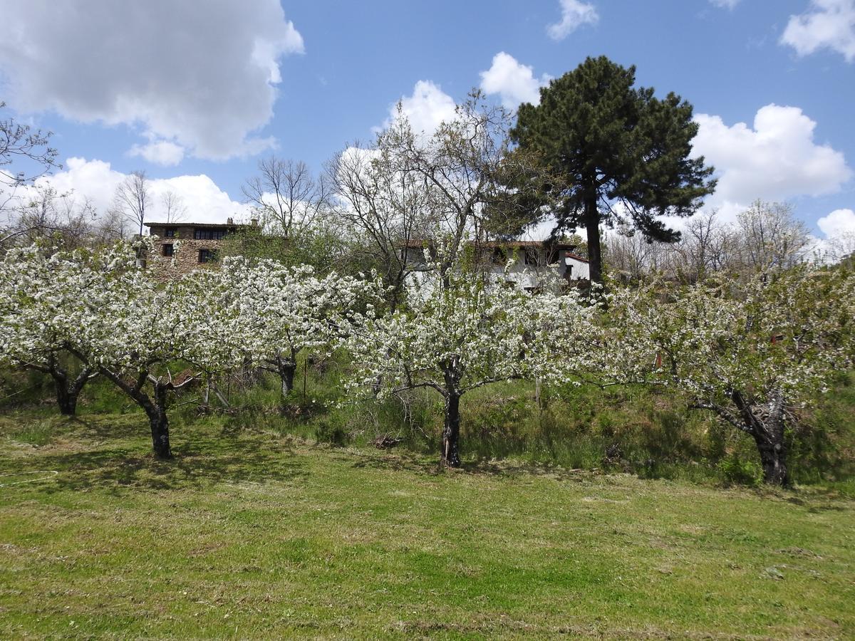 Casas Arbillas Arenas de San Pedro Zewnętrze zdjęcie